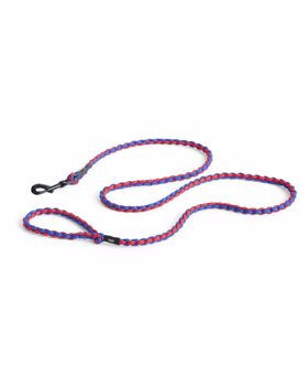 Dogs Leash Braided