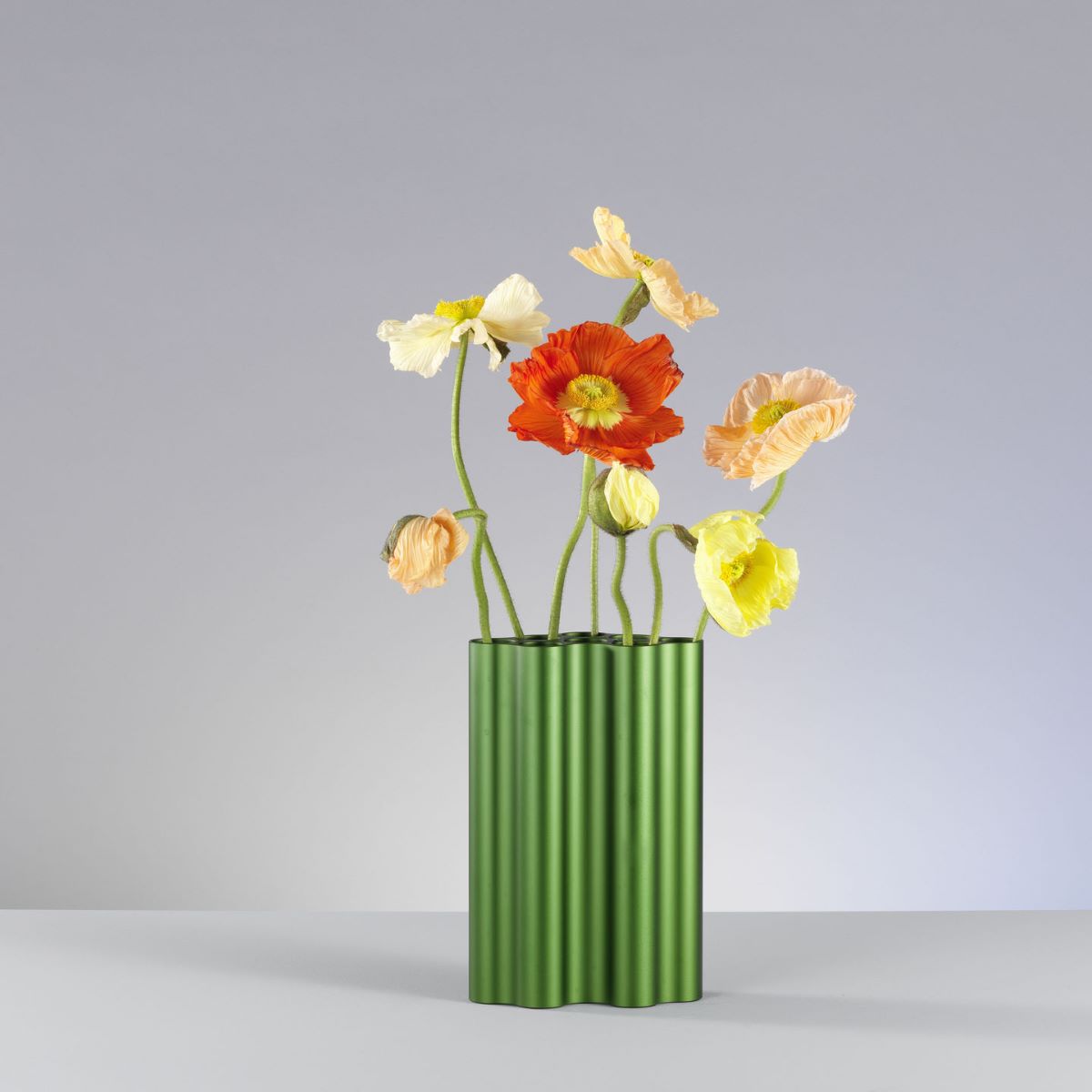 https://bo.alinhadavizinha.com/FileUploads/produtos/acessorios/casa/201_642_01_nuage_l_verde_3.jpg