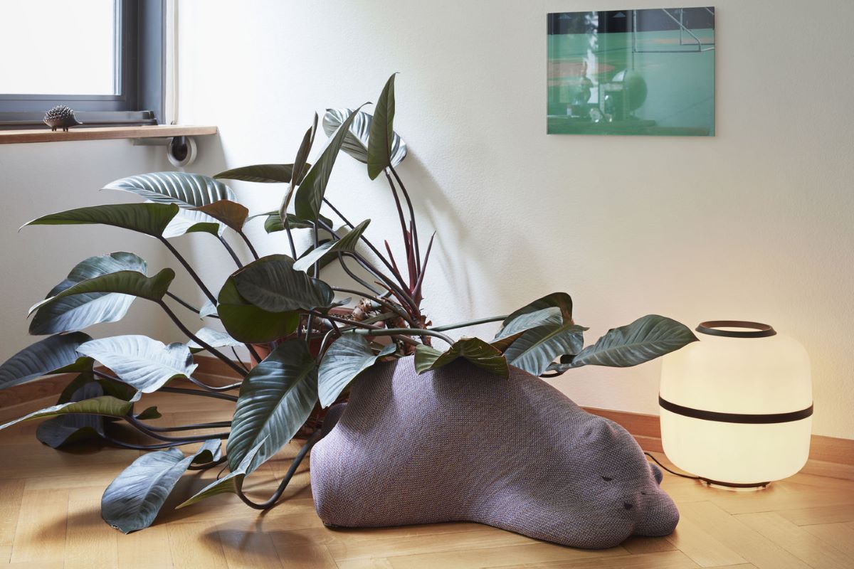 https://bo.alinhadavizinha.com/FileUploads/produtos/acessorios/casa/201_655_01_resting-bear_vermelho_4.jpg