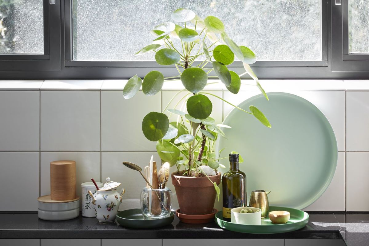 https://bo.alinhadavizinha.com/FileUploads/produtos/acessorios/casa/215_111_02_trays_verde_3.jpg