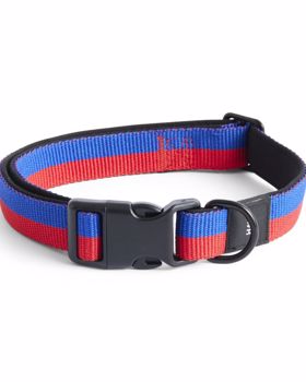 Dogs Collar M/L