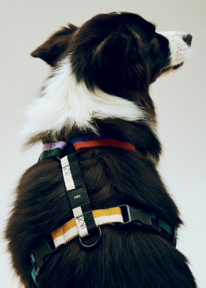 https://bo.alinhadavizinha.com/FileUploads/produtos/acessorios/casa/ae931_a602_ag29_hay-dogs-harness_m_multi_02.jpg