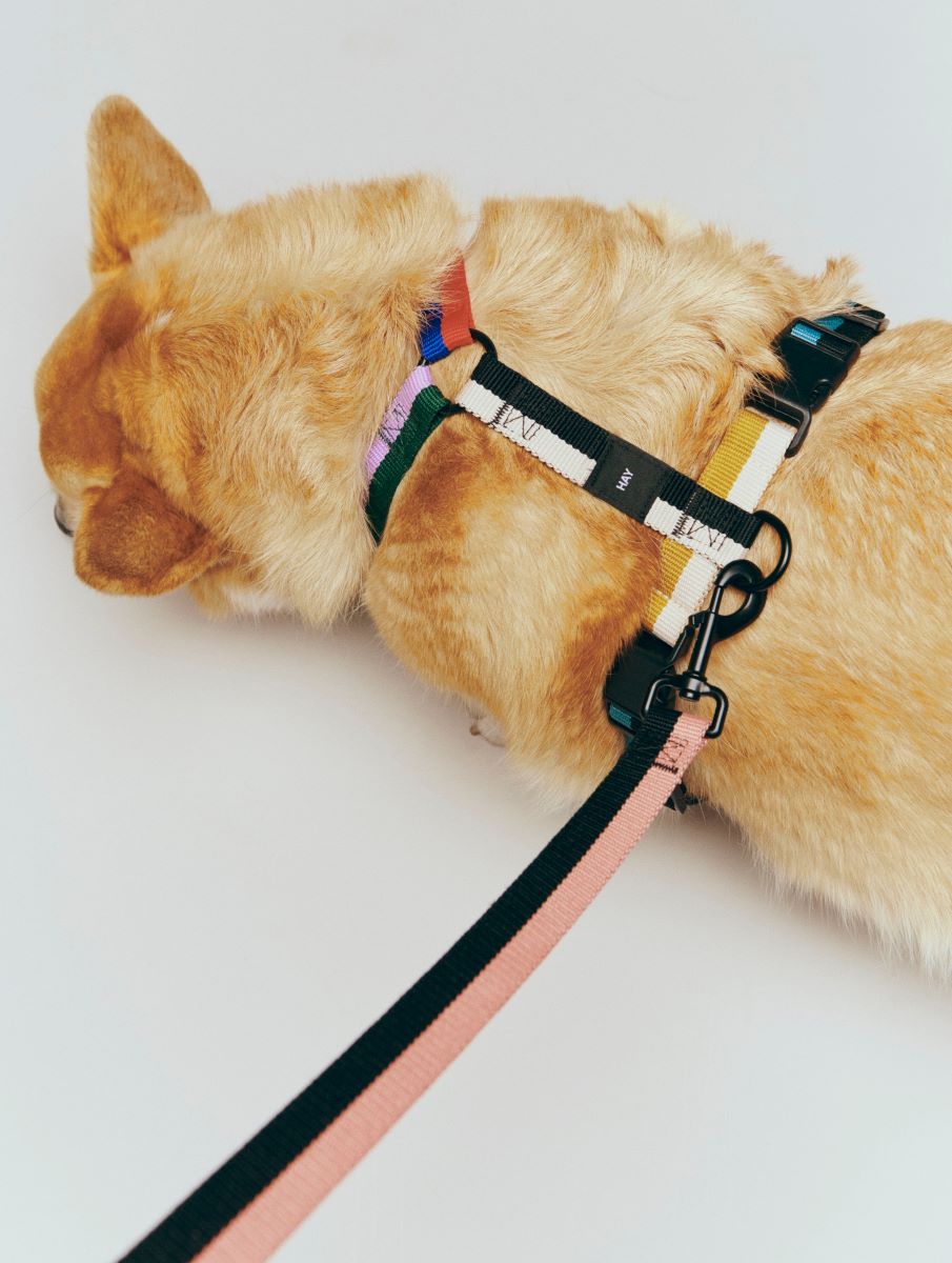 https://bo.alinhadavizinha.com/FileUploads/produtos/acessorios/casa/ae931_a602_ag29_hay-dogs-harness_m_multi_03.jpg