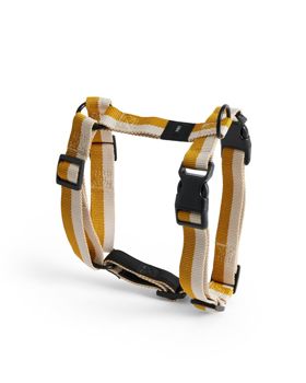 Dogs Harness