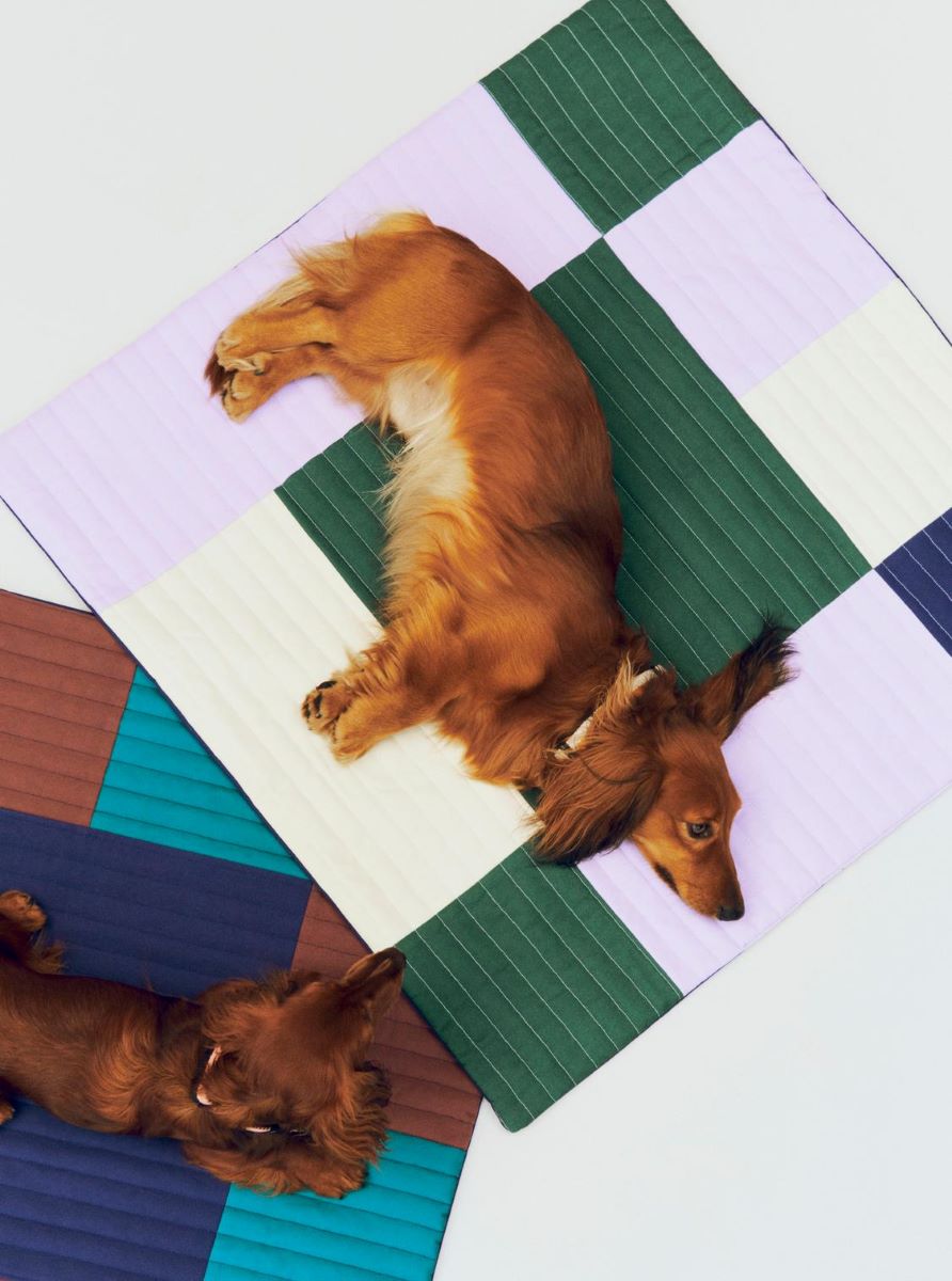 https://bo.alinhadavizinha.com/FileUploads/produtos/acessorios/casa/ae932_a780-_as33_hay-dogs-travel-blanket_bordo_03.jpg