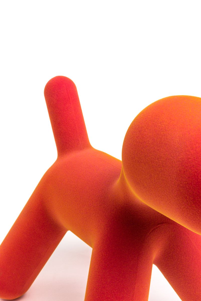 https://bo.alinhadavizinha.com/FileUploads/produtos/acessorios/casa/mt452_02_puppy-iridescent_s_laranja_2.jpg